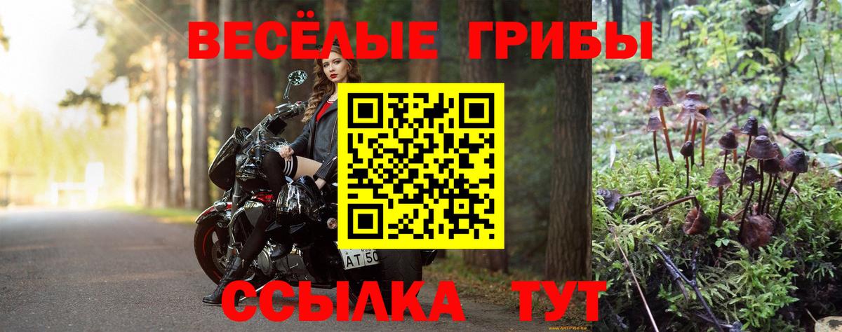 цена   Галлюциногенные грибы прущие грибы  Вход с VPN  Ижевск 